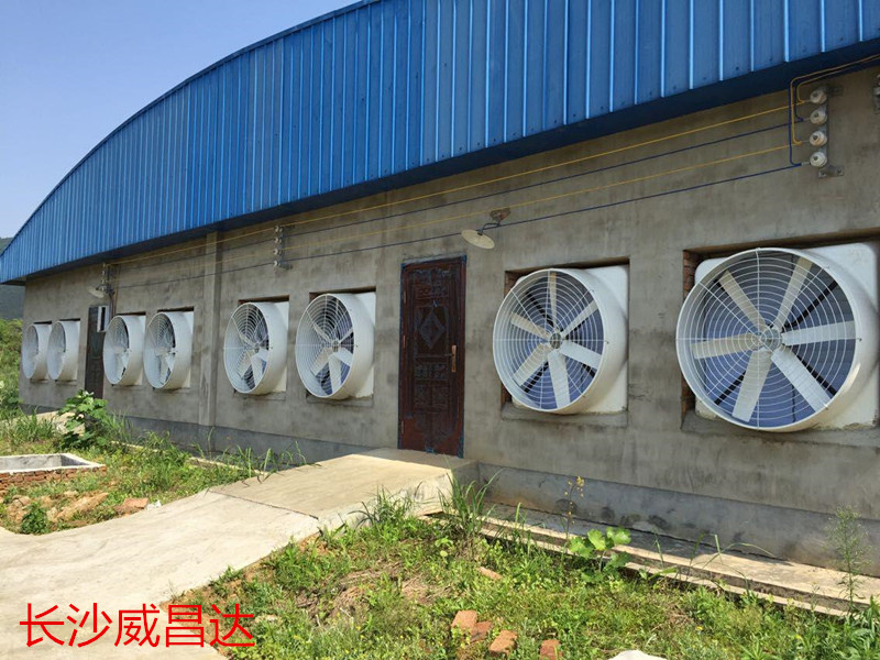 水簾風(fēng)機通風(fēng)降溫系統(tǒng)-廠房降溫的優(yōu)質(zhì)選擇
